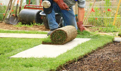 landscaping and tree care in San Antonio TX